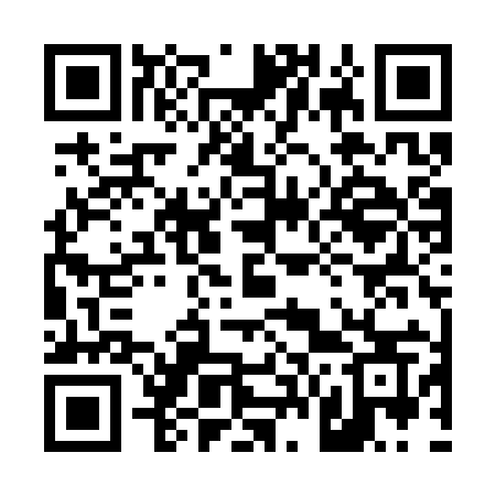 QR code for 461SYS