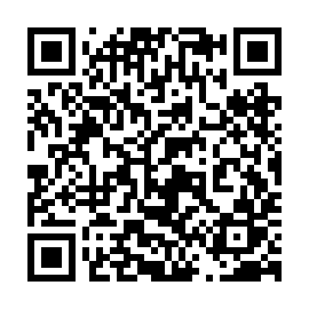QR code for 463BIR