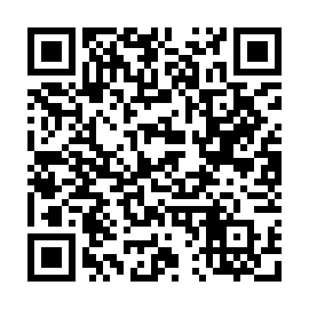 QR code for 463IFP