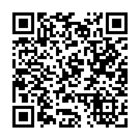 QR code for 463INI