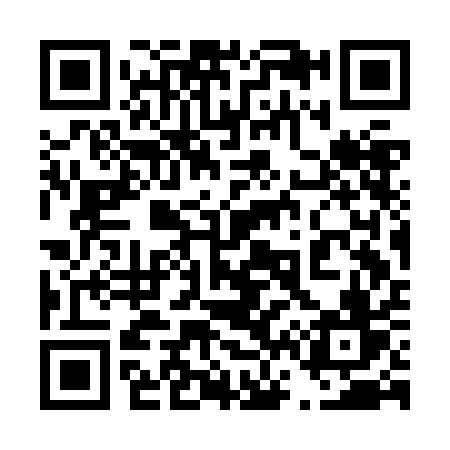 QR code for 463JAV
