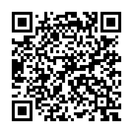 QR code for 463NFJ