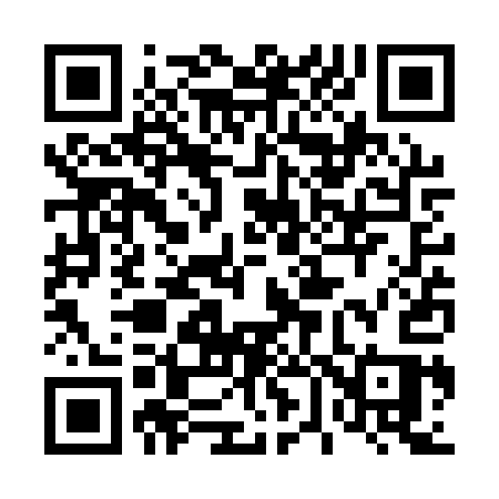 QR code for 463QQS