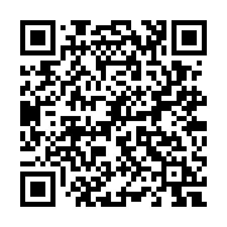 QR code for 463UAH