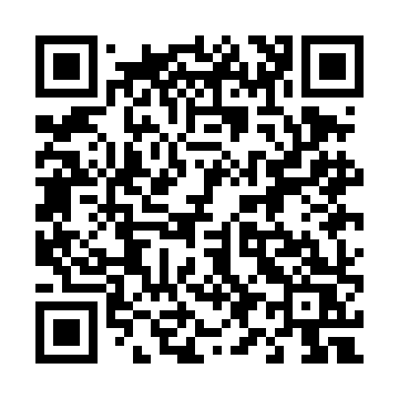 QR code for 491DHS