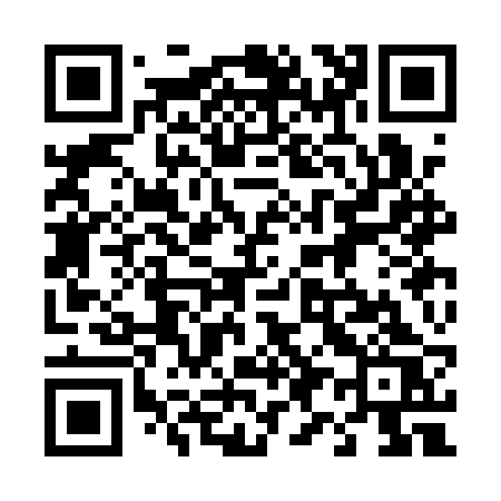 QR code for 493ARS