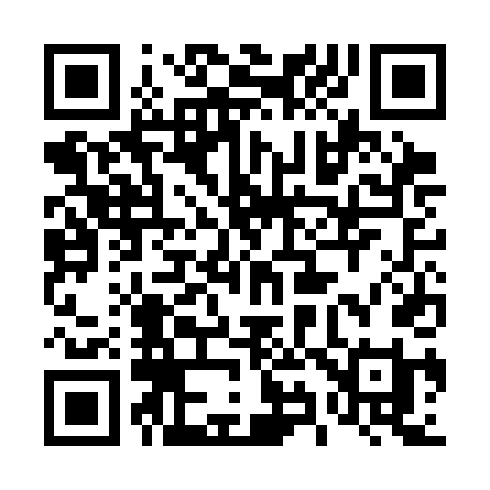 QR code for 493CDI