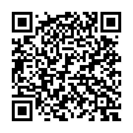 QR code for 493DTF