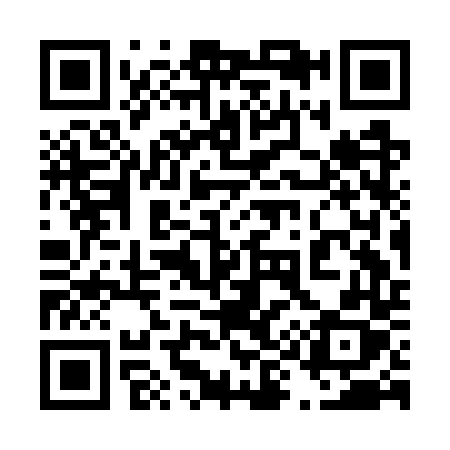 QR code for 493GTX