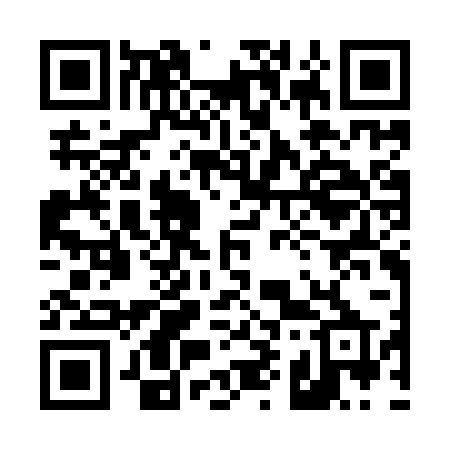 QR code for 493IRP