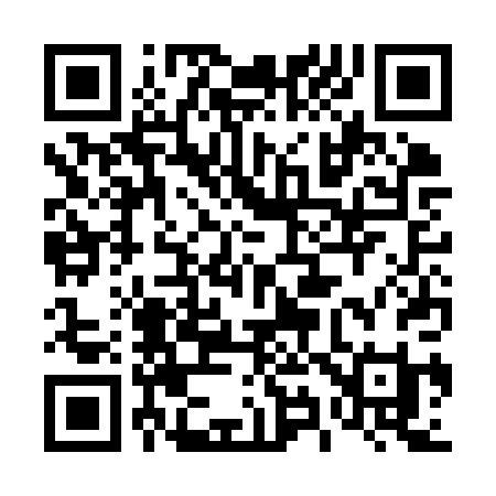 QR code for 493KPI