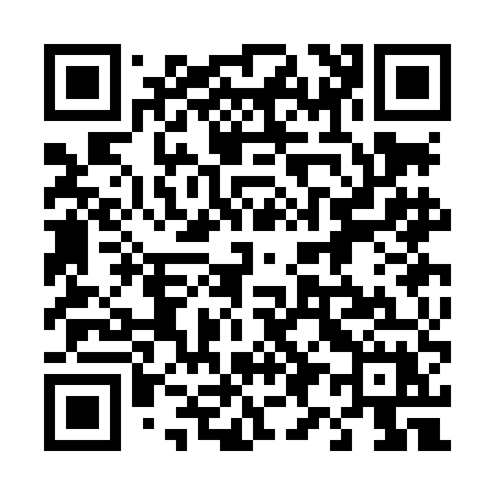 QR code for 493LEX