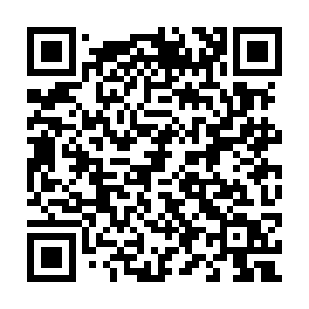 QR code for 493MKT
