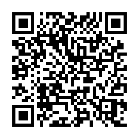 QR code for 493NAR