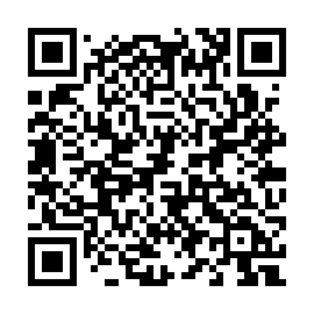 QR code for 493QZD