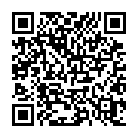 QR code for 493SLH