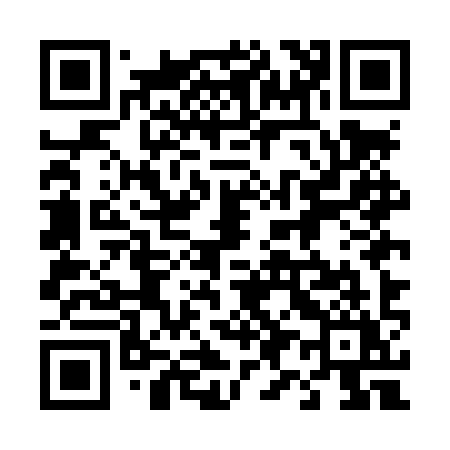 QR code for 495LYY