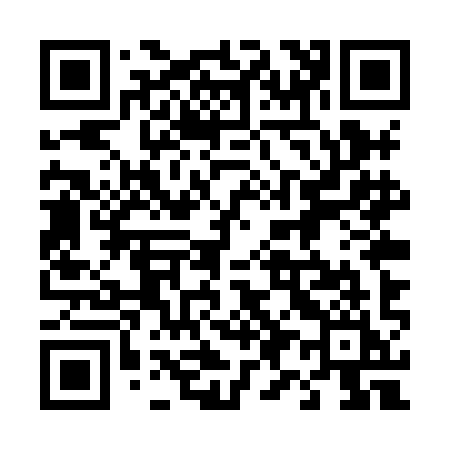 QR code for 495XII