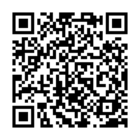 QR code for 495XZI