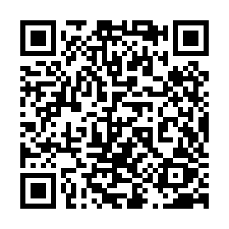QR code for 499PZZ