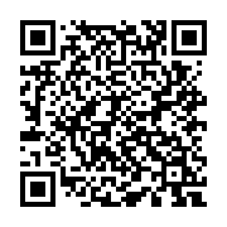 QR code for 508GUN