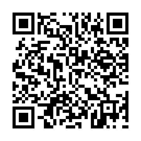 QR code for 508SMT