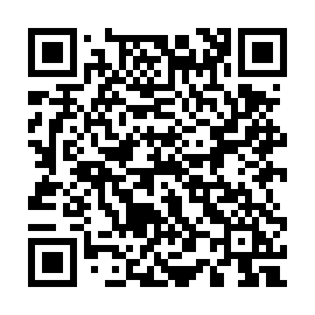 QR code for 509DTI