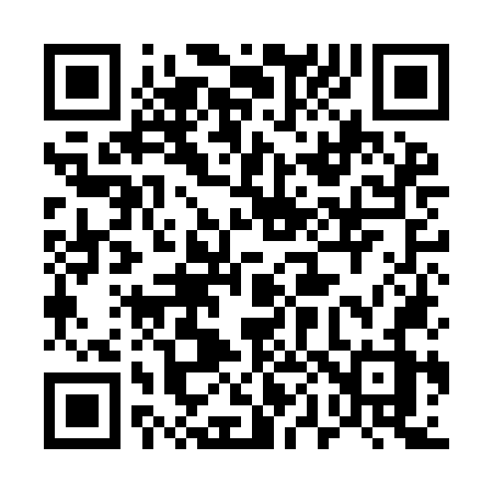 QR code for 509INZ