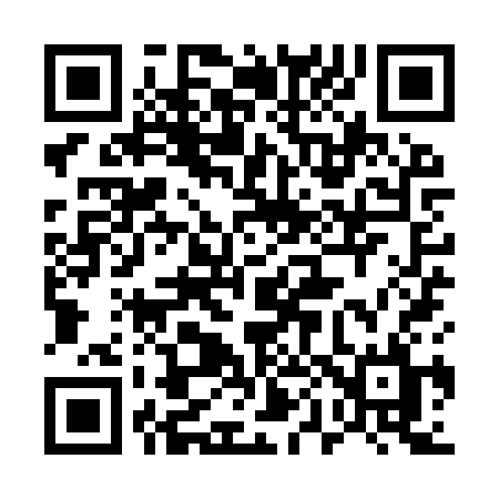 QR code for 509YSL