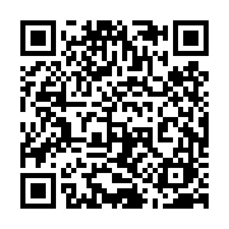 QR code for 510DVM