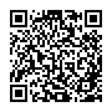 QR code for 511PLG