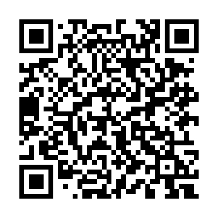 QR code for 519DOE