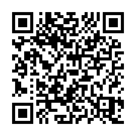 QR code for 519IRS