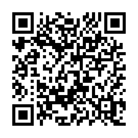 QR code for 519QCL