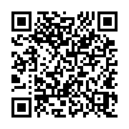 QR code for 519SMP