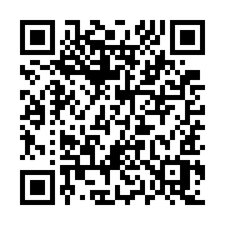 QR code for 519WIW