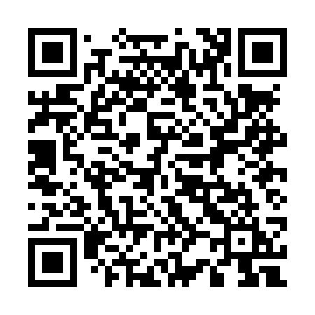 QR code for 520LSI