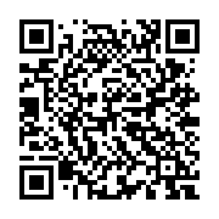 QR code for 520VEI
