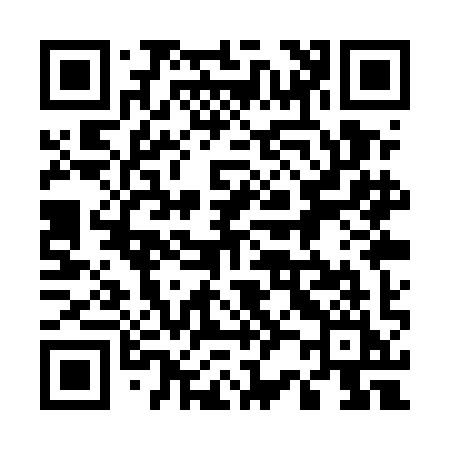 QR code for 521UII