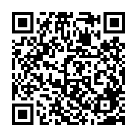 QR code for 529DXF