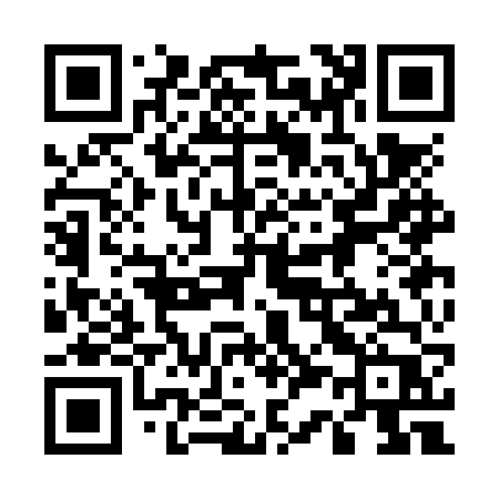 QR code for 533NVP