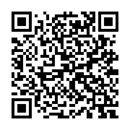QR code for 533UEI