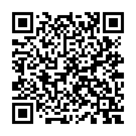 QR code for 533ZIS