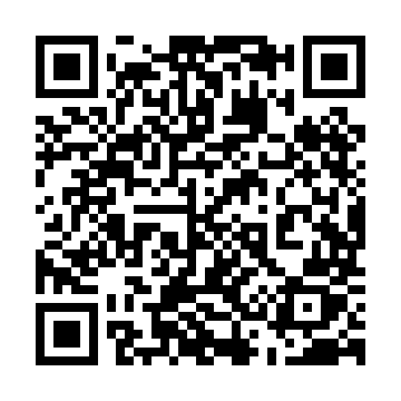 QR code for 538PMZ
