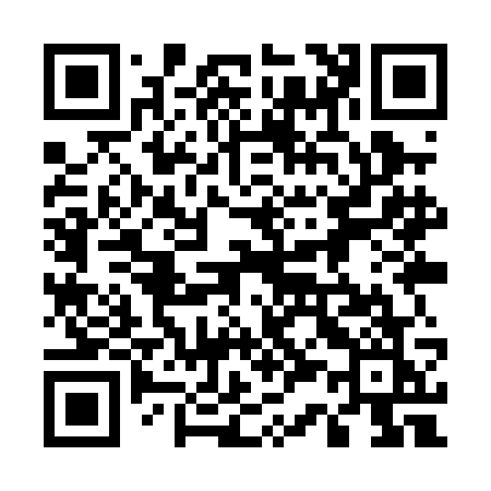QR code for 539PGK