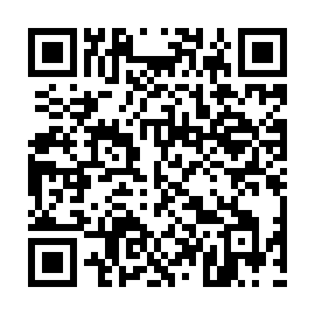QR code for 541INI
