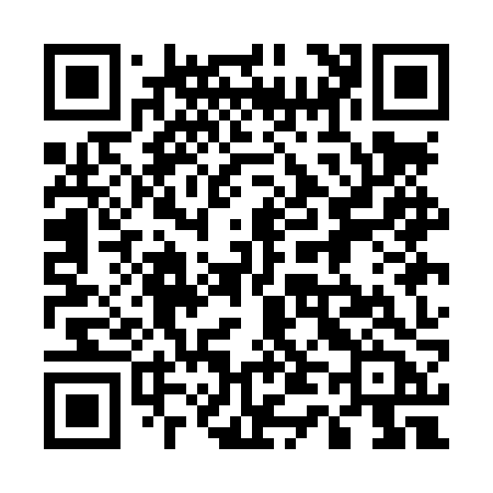 QR code for 541LZB