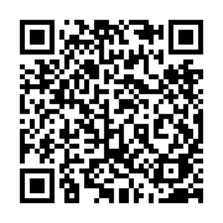 QR code for 541NIA