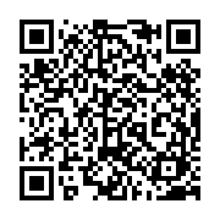 QR code for 541PFM