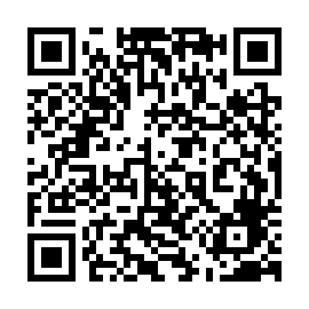 QR code for 555CTF